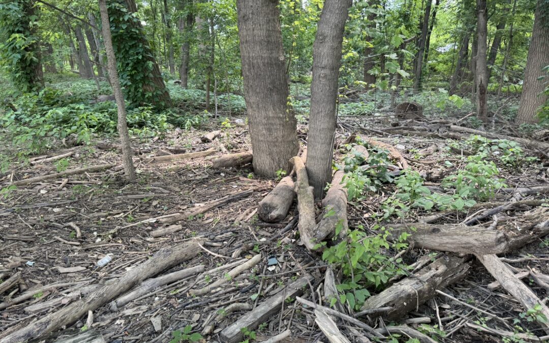 Outreach Journal: May, 2025